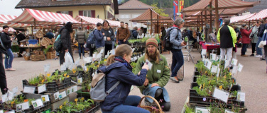 Event-Image for '11. Entlebucher Kräuter- und Wildpflanzenmarkt'