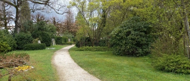 Event-Image for 'Besinnungsweg auf dem Bremgartenfriedhof Bern'