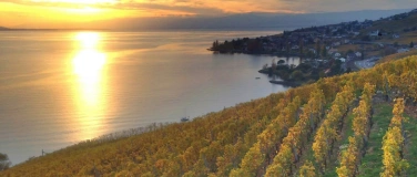 Event-Image for 'LAVAUX KINDA VIBES '