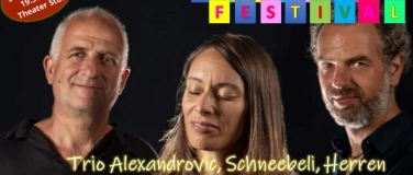 Event-Image for 'Through Sound - Trio Alexandrovic, Schneebeli, Herren'